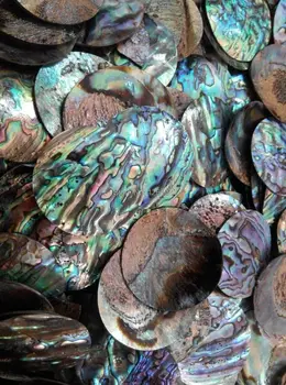 Velike Nakit Nova zelandija abalone lupina kroglice za nakit, izdelava naravnih abalone lupini obeski ravno krog